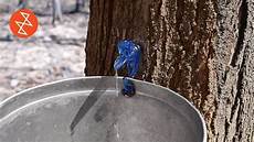 Sugar Boiling Stove